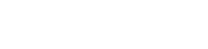 logo de website
